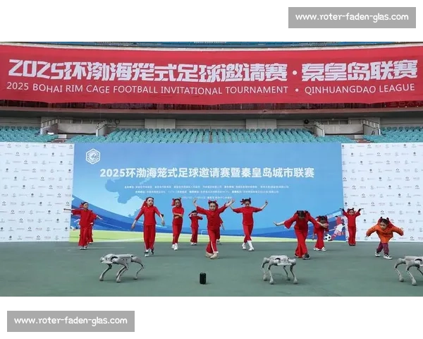 秦皇岛笼式足球:小场地踢活体育消费大市场